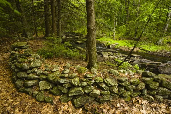 Framed Print : An old stone wall next to Muschopauge Brook in Holden, Massachusetts. Worcester County Framed Print : An old stone wall next to Muschopauge Brook in Holden, Massachusetts. Worcester County