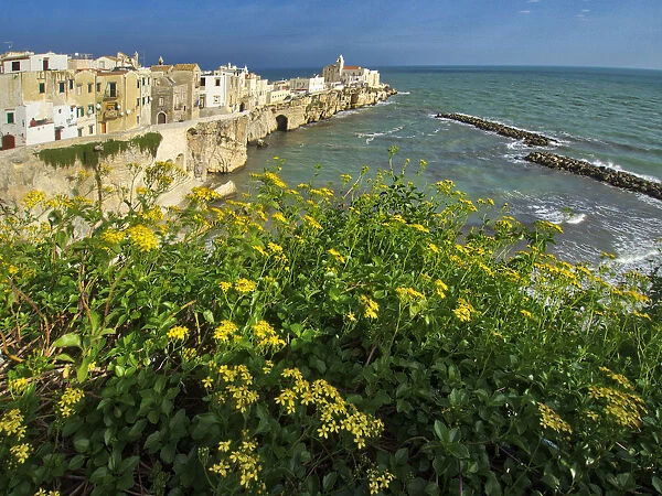 Old town of Vieste cityscape with medieval church at the tip of the peninsula of this