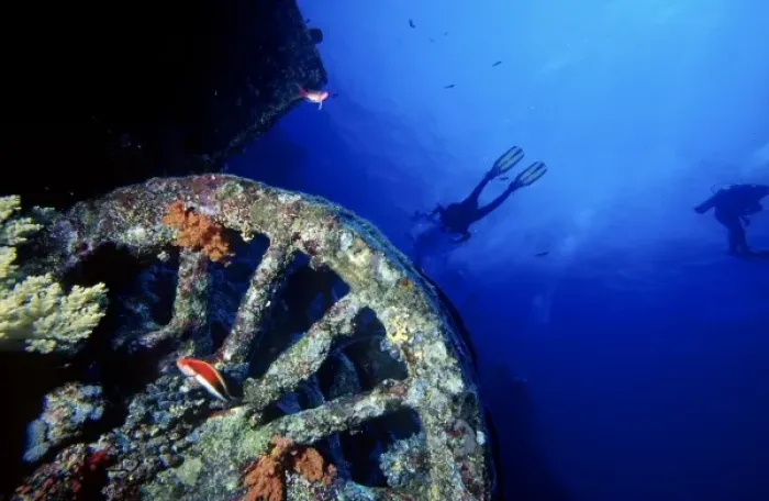 Framed Print : Old wheel home to corals and fish with scuba divers in the background, Numidia shipwreck Framed Print : Old wheel home to corals and fish with scuba divers in the background, Numidia shipwreck