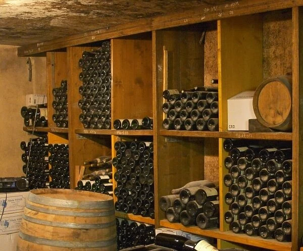 Old wine bottles aging in the wine cellar. Alain Voge, Cornas, Ardeche, Ardeche, France