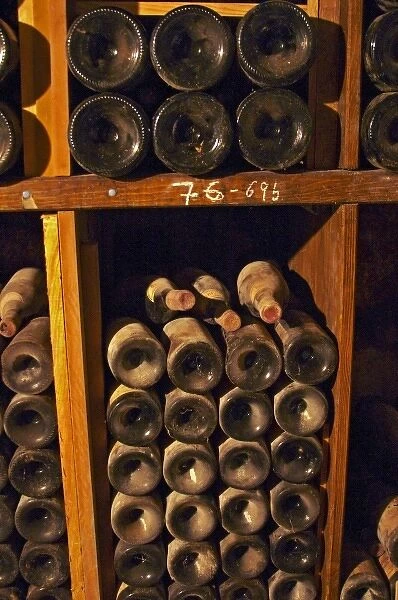 Old wine bottles aging in the wine cellar. Alain Voge, Cornas, Ardeche, Ardeche, France
