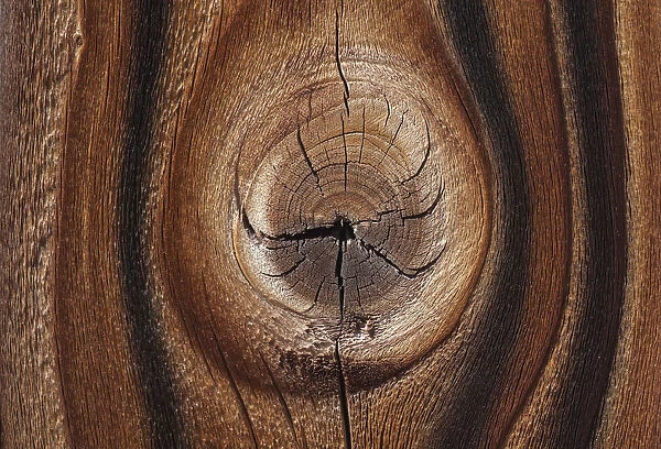 Old wood design, California
