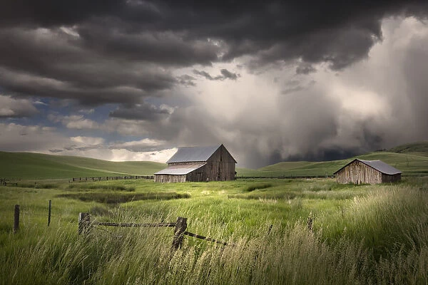 Two old wooden barns and storm clouds, Palouse region of eastern Washington