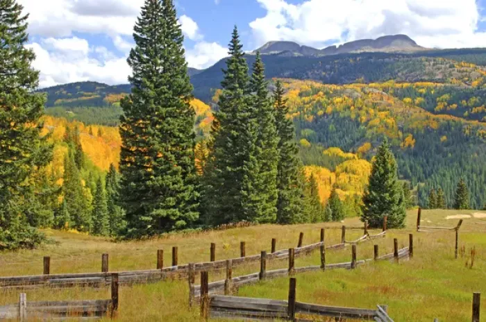 Framed Print : Old wooden fence and autumn colors in the San Juan Mountains of Colorado Framed Print : Old wooden fence and autumn colors in the San Juan Mountains of Colorado