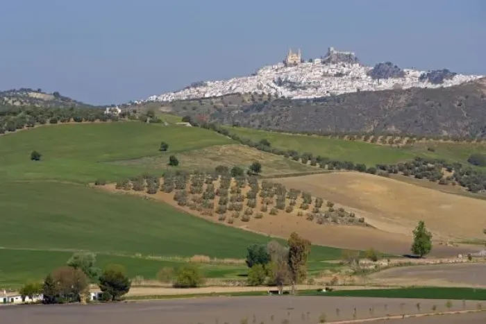 Framed Print : Olvera, Andalusia