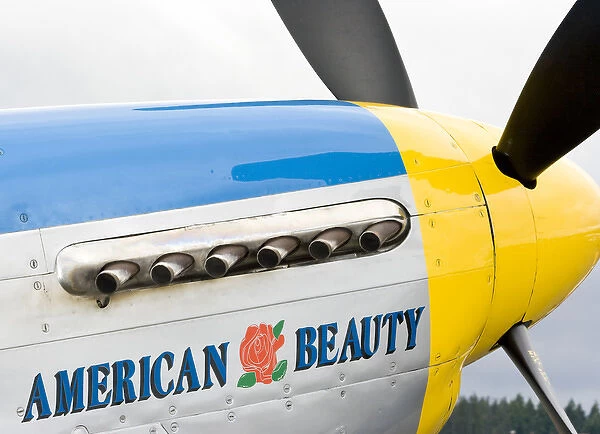 Olympia, Washington, airshow, military, aircraft, World War II, cowling, propeller