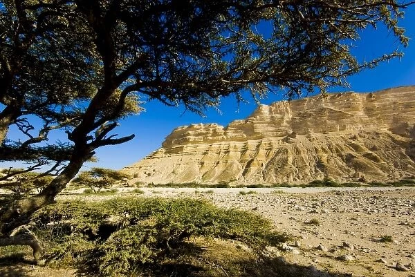 Oman, Al-Shuwaymiyah, Wadi Al-Shuwaymiyah