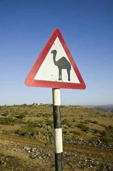 Oman, Dhofar Region, Salalah. Camel Crossing Sign in the Dhofar Mountains  /  Morning