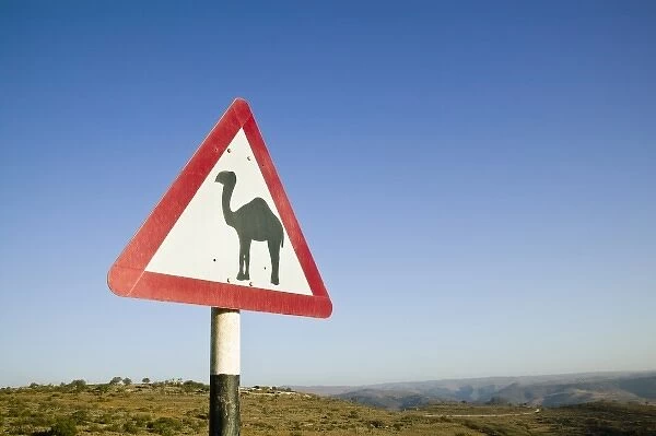 Oman, Dhofar Region, Salalah. Camel Crossing Sign in the Dhofar Mountains  /  Morning