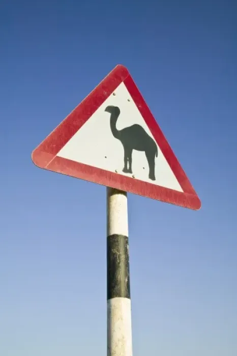 Framed Print : Oman, Dhofar Region, Salalah. Camel Crossing Sign in the Dhofar Mountains / Morning Framed Print : Oman, Dhofar Region, Salalah. Camel Crossing Sign in the Dhofar Mountains / Morning