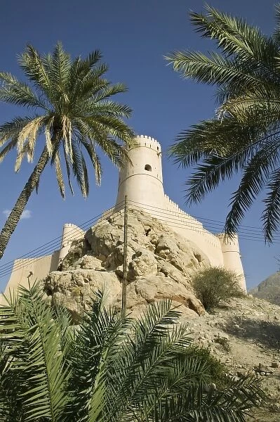 Oman, Western Hajar Mountains, Nakhl. Date Palm Oasis View of Nakhl Fort