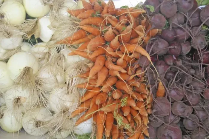 Framed Print : Onions carrots beets at farmers market in South Haven Michigan Framed Print : Onions carrots beets at farmers market in South Haven Michigan