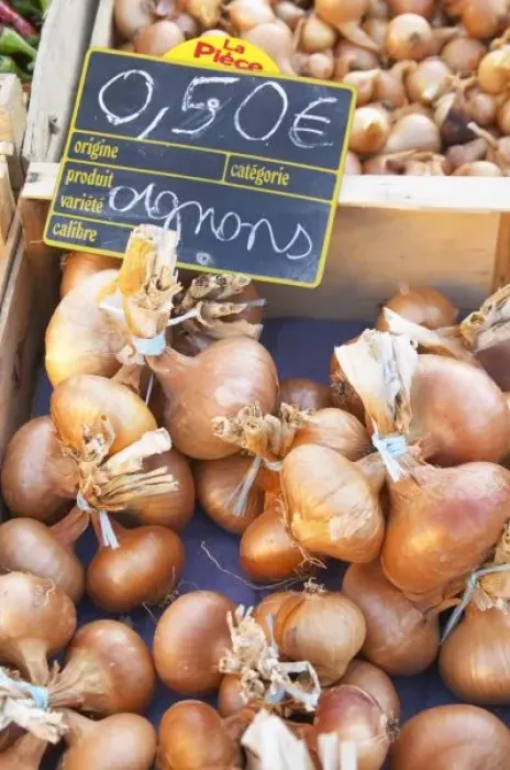 Framed Print : Onions, o. 50 euro Framed Print : Onions, o. 50 euro