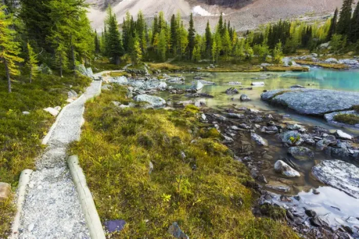 Framed Print : The Opabin Plateau trail above Lake O hara, Yoho National Park, British Columbia Framed Print : The Opabin Plateau trail above Lake O hara, Yoho National Park, British Columbia