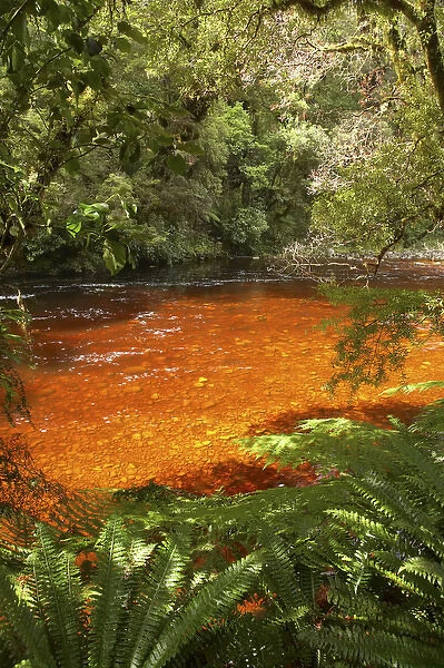 Oparara River, Oparara Basin, near Karamea, Kahurangi National Park, West Coast, South Island