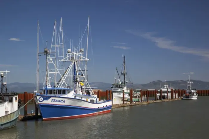 Framed Print : OR, Astoria, East Basin Moorage, Columbia River; Fishing boats