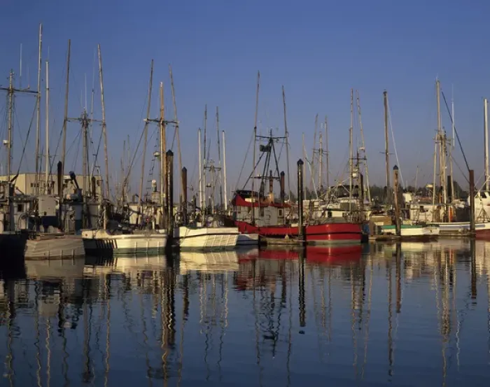 Framed Print : OR, Charleston, Charleston harbor with fishing boats