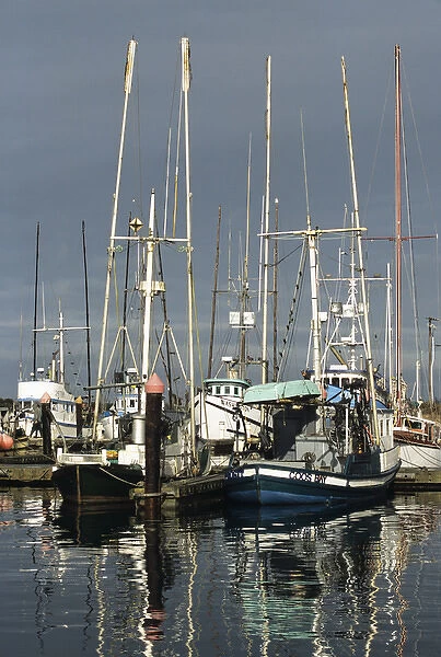 OR, Charleston, Fishing boats at the Charleston harbor