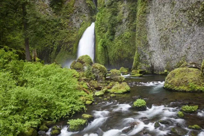 Framed Print : OR, Columbia River Gorge National Scenic Area, Wahclella Falls, Tanner Creek drops Framed Print : OR, Columbia River Gorge National Scenic Area, Wahclella Falls, Tanner Creek drops