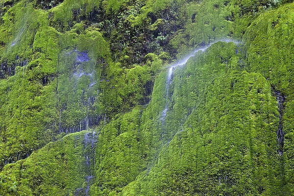OR, Columbia River Gorge National Scenic Area, Water softly cascading over moss covered