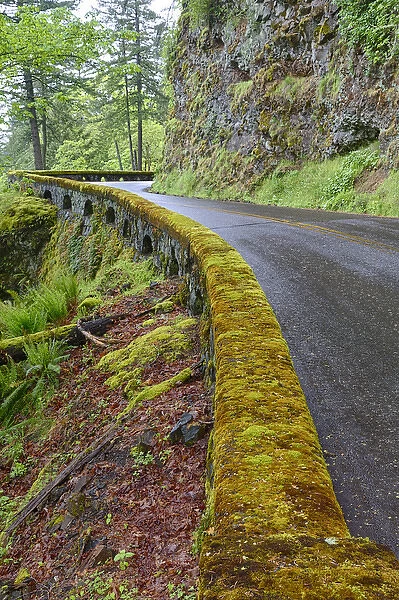 OR, Columbia River Gorge National Scenic Area, Historic Columbia Gorge Highway