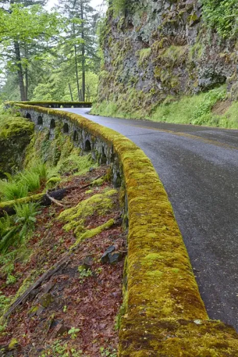 Framed Print : OR, Columbia River Gorge National Scenic Area, Historic Columbia Gorge Highway Framed Print : OR, Columbia River Gorge National Scenic Area, Historic Columbia Gorge Highway