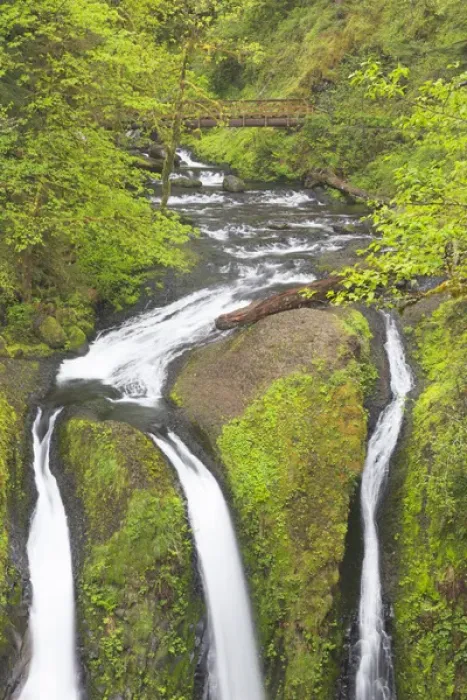 Framed Print : OR, Columbia River Gorge National Scenic Area, Triple Falls Framed Print : OR, Columbia River Gorge National Scenic Area, Triple Falls
