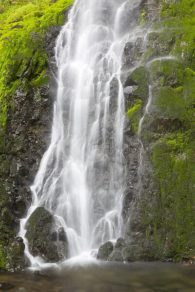 OR, Columbia River Gorge National Scenic Area, Cabin Creek Falls