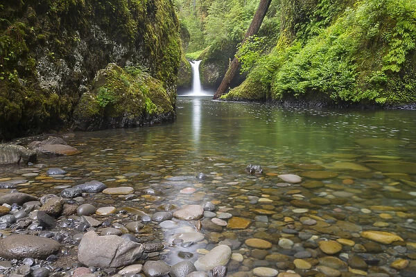 OR, Columbia River Gorge National Scenic Area, Punch Bowl Falls