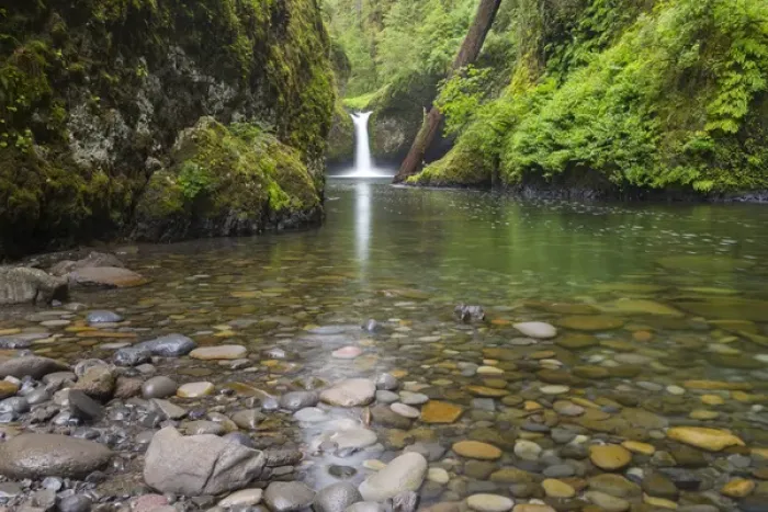 Framed Print : OR, Columbia River Gorge National Scenic Area, Punch Bowl Falls Framed Print : OR, Columbia River Gorge National Scenic Area, Punch Bowl Falls