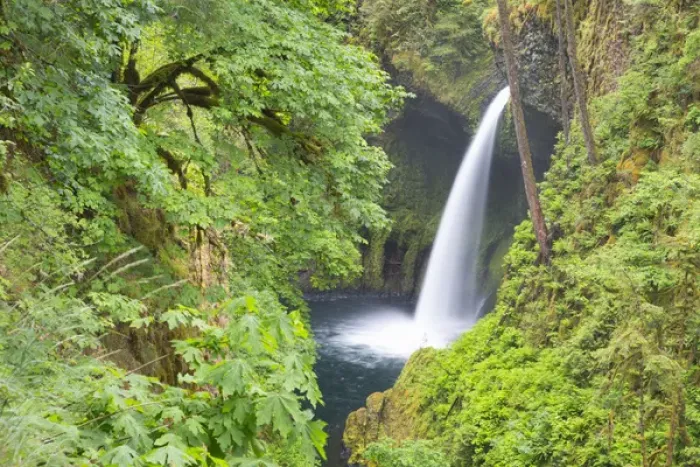 Framed Print : OR, Columbia River Gorge National Scenic Area, Metlako Falls