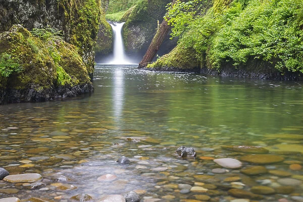OR, Columbia River Gorge National Scenic Area, Punch Bowl Falls
