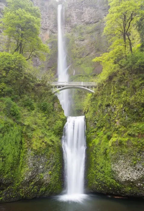 Framed Print : OR, Columbia River Gorge National Scenic Area, Multnomah Falls Framed Print : OR, Columbia River Gorge National Scenic Area, Multnomah Falls