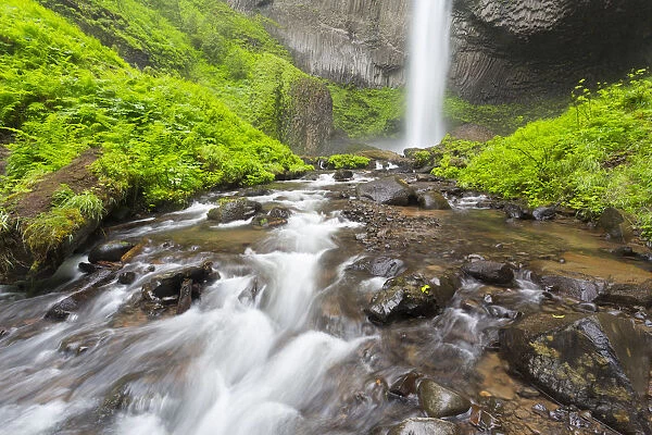 OR, Columbia River Gorge National Scenic Area, Latourell Creek and Falls