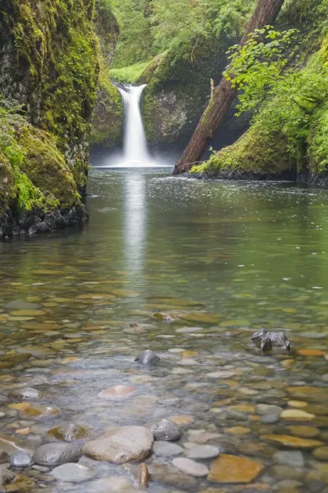 Framed Print : OR, Columbia River Gorge National Scenic Area, Punch Bowl Falls Framed Print : OR, Columbia River Gorge National Scenic Area, Punch Bowl Falls