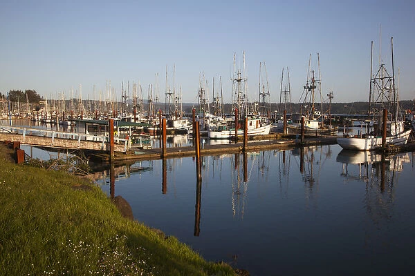 OR, Newport, fishing boats