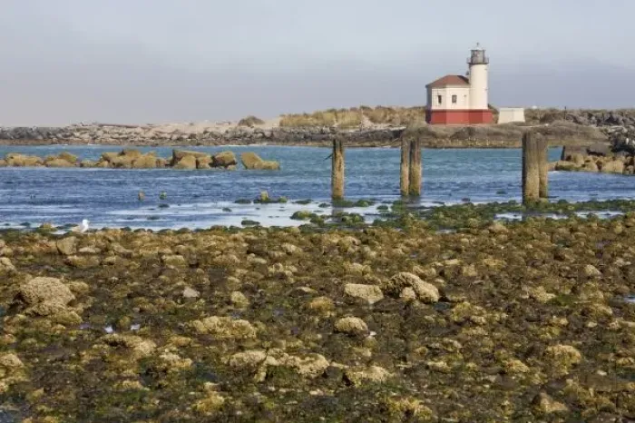 Framed Print : OR, Oregon Coast, Bandon, Coquille River lighthouse, built in 1896, last lighthouse