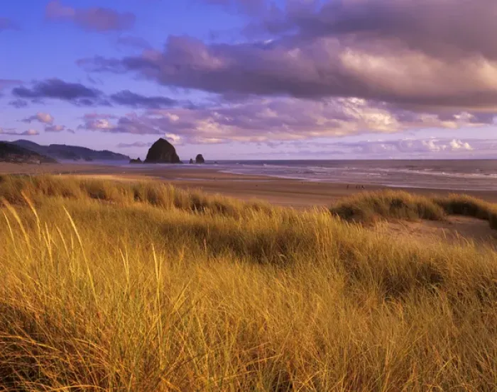 Framed Print : OR, Oregon Coast, Cannon Beach, Haystack Rock and Cannon Beach Framed Print : OR, Oregon Coast, Cannon Beach, Haystack Rock and Cannon Beach