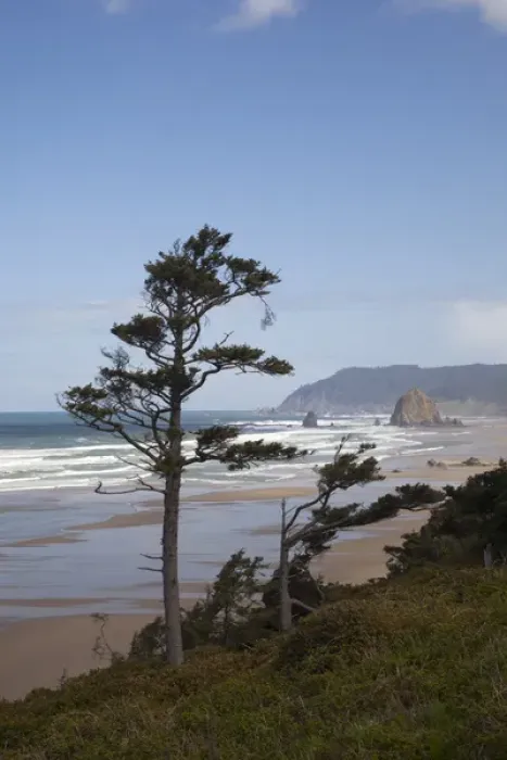 Framed Print : OR, Oregon Coast, Cannon Beach and Haystack Rock Framed Print : OR, Oregon Coast, Cannon Beach and Haystack Rock