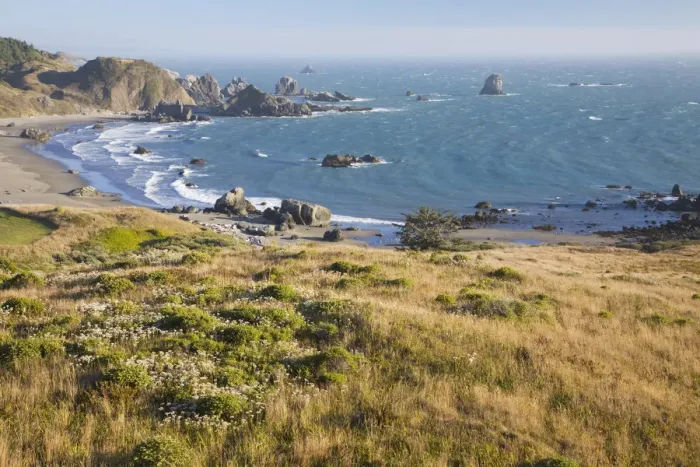 Framed Print : OR, Oregon Coast, Lone Ranch Beach, view from the Oregon Coast Trail