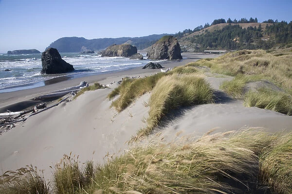 OR, Oregon Coast, Meyers Creek Beach, near Gold Beach, Shoreline and Seastacks