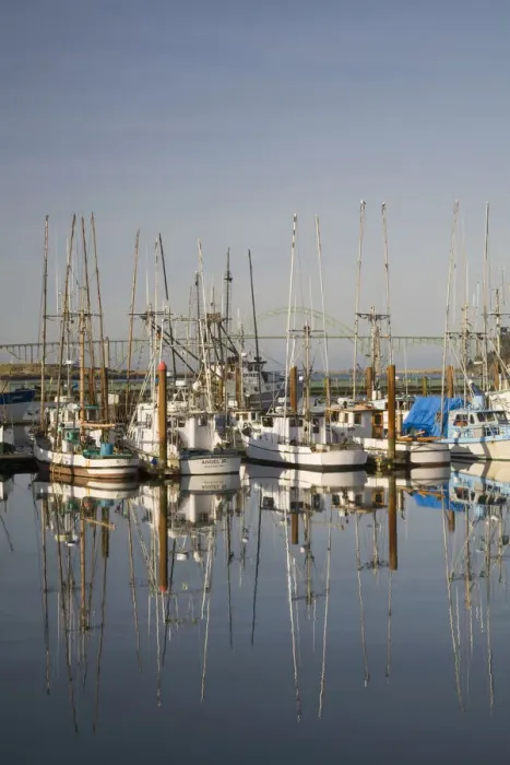 Framed Print : OR, Oregon Coast, Newport, Commercial fishing fleet at the Port of Newport, Yaquina