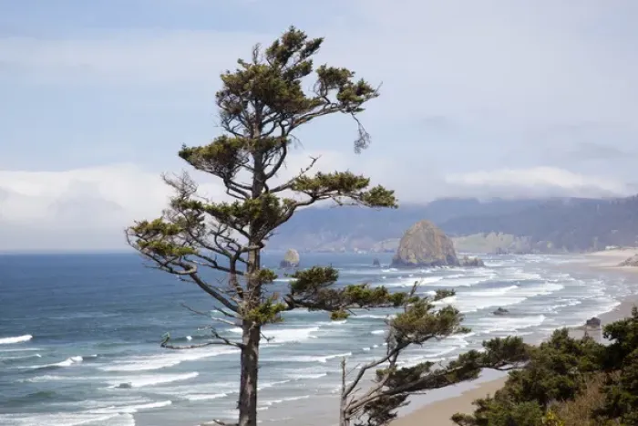 Framed Print : OR, Oregon Coast, view of Haystack Rock and Cannon Beach, from highway 101