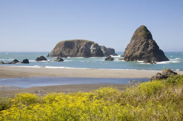 Framed Print : OR, Oregon Coast, Whaleshead Beach, South Coast, Seastacks Framed Print : OR, Oregon Coast, Whaleshead Beach, South Coast, Seastacks