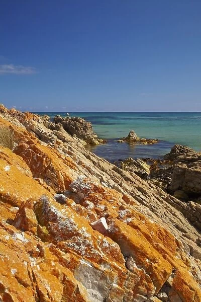 Orange Lichen on Rocks, Green Point, Ann Bay, Marrawah, North Western Tasmania, Australia