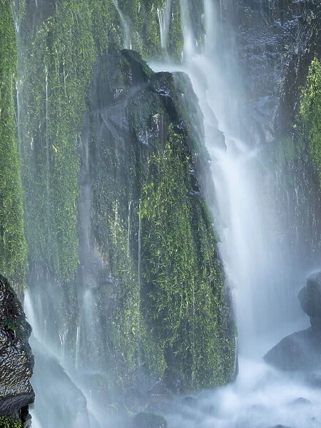 Oregon, Columbia River Gorge National Scenic Area, Lancaster Falls