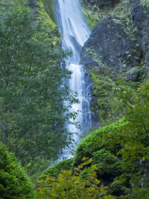 Framed Print : Oregon, Columbia River Gorge National Scenic Area, Starvation Creek Falls Framed Print : Oregon, Columbia River Gorge National Scenic Area, Starvation Creek Falls