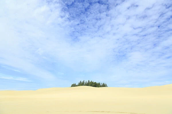 Oregon Dunes National Recreation Area, Oregon Coast near Reedsport