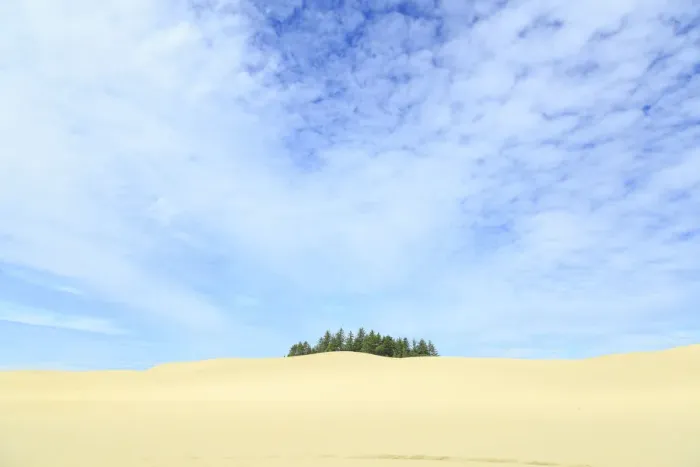 Framed Print : Oregon Dunes National Recreation Area, Oregon Coast near Reedsport Framed Print : Oregon Dunes National Recreation Area, Oregon Coast near Reedsport