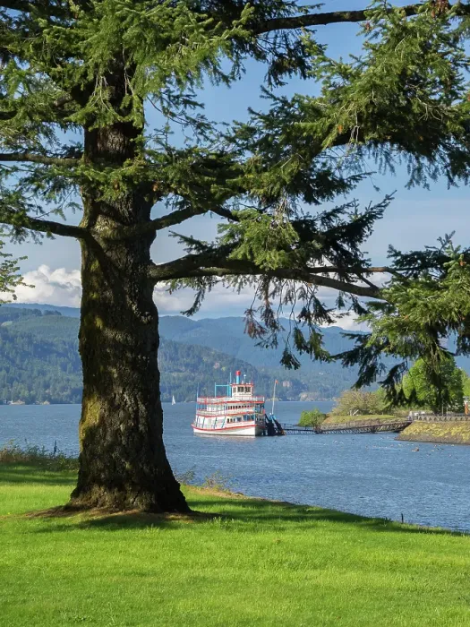 Framed Print : Oregon, USA. Columbia River Gorge National Scenic Area, fir tree with the Columbia Gorge sternwheeler tour boat Framed Print : Oregon, USA. Columbia River Gorge National Scenic Area, fir tree with the Columbia Gorge sternwheeler tour boat